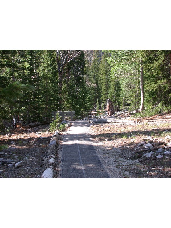 A wheelchair accessible with green trees around