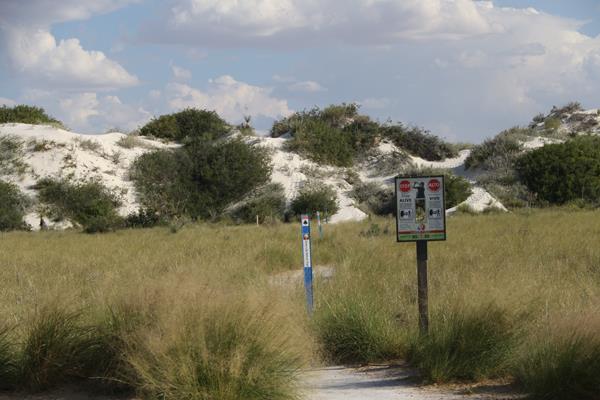A sign and blue trail marker sit amongst tall green grass that give way to white dunes with shrubs.