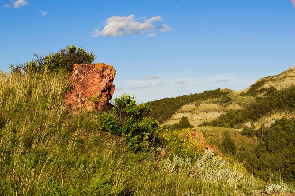 A large outcropping of red rock from a grassy hillside. Tree covered buttes are in the background.
