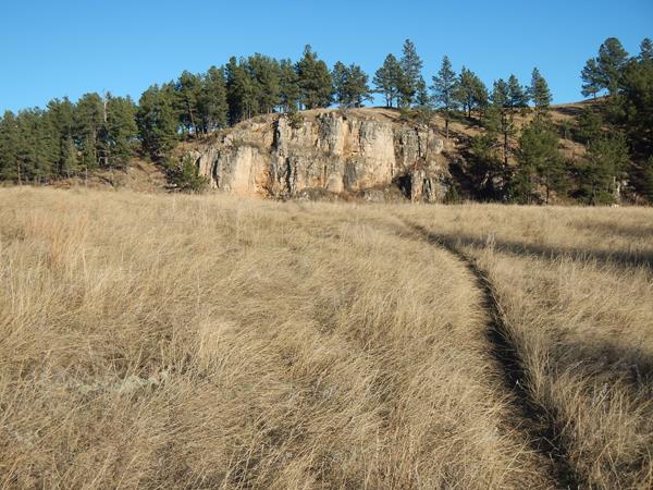 A trail winds through prairie grasses with tree covered cliffs in the distance.