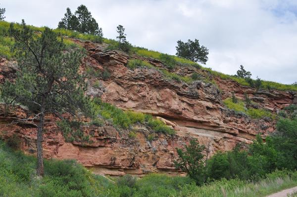 a reddish and gray canyon wall with shrubs on both the top and bottom of the canyon