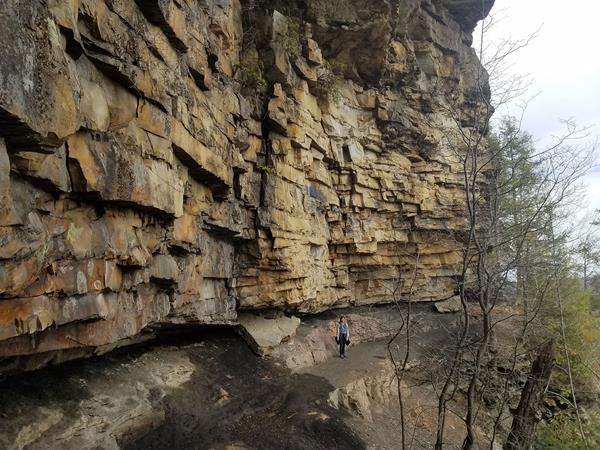 A hiker on a trail with a large cliff looming behind her.