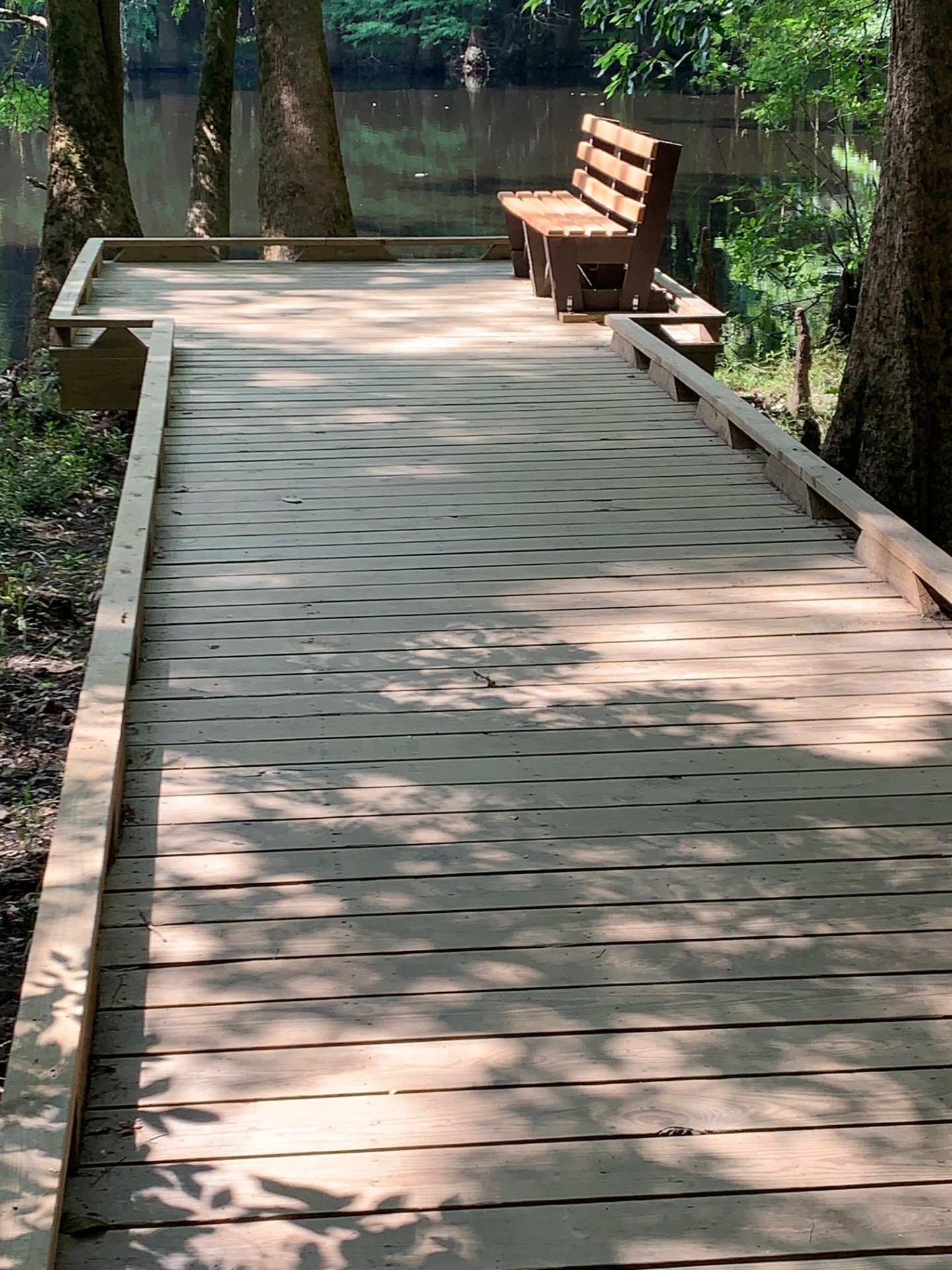 A section of wooden boardwalk trail which overlooks a lake.