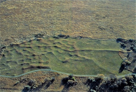 Arial view of earth lodge depressions at a Hidatsa village site.
