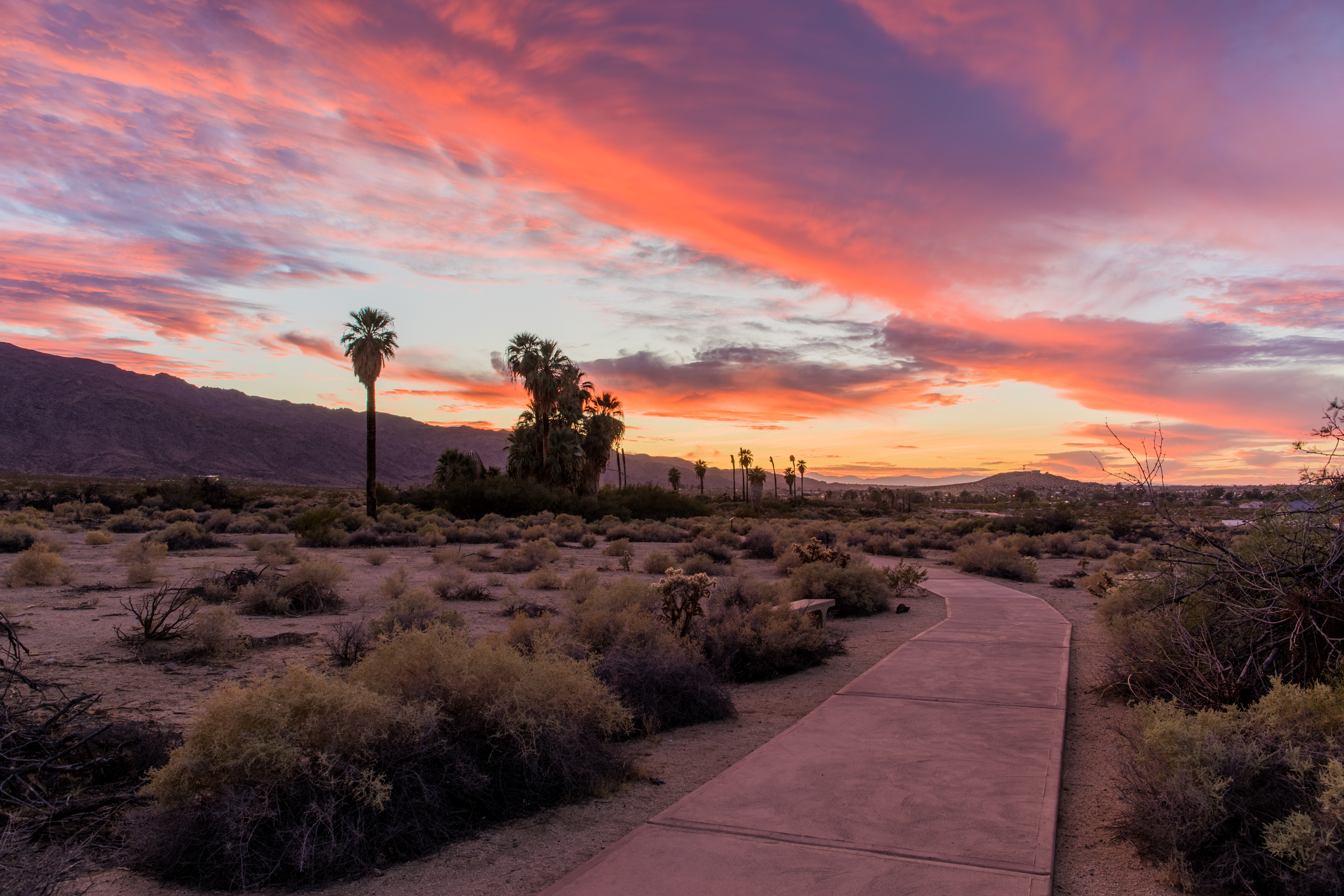 Oasis of Mara Trailhead