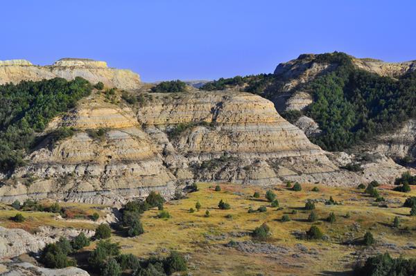 Buttes covered in juniper trees under a blue sky
