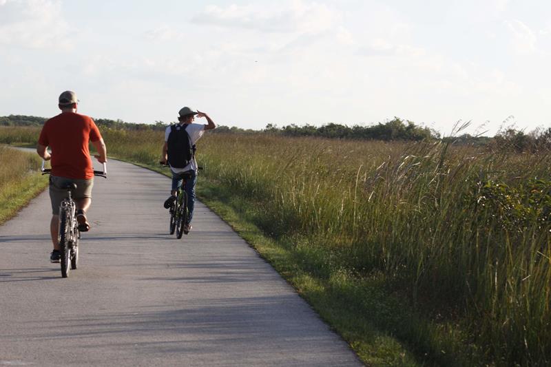 Biking at Shark Valley