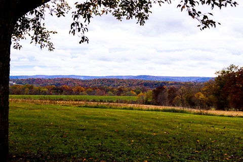 Changing fall foliage with gently rolling mountains in the distance