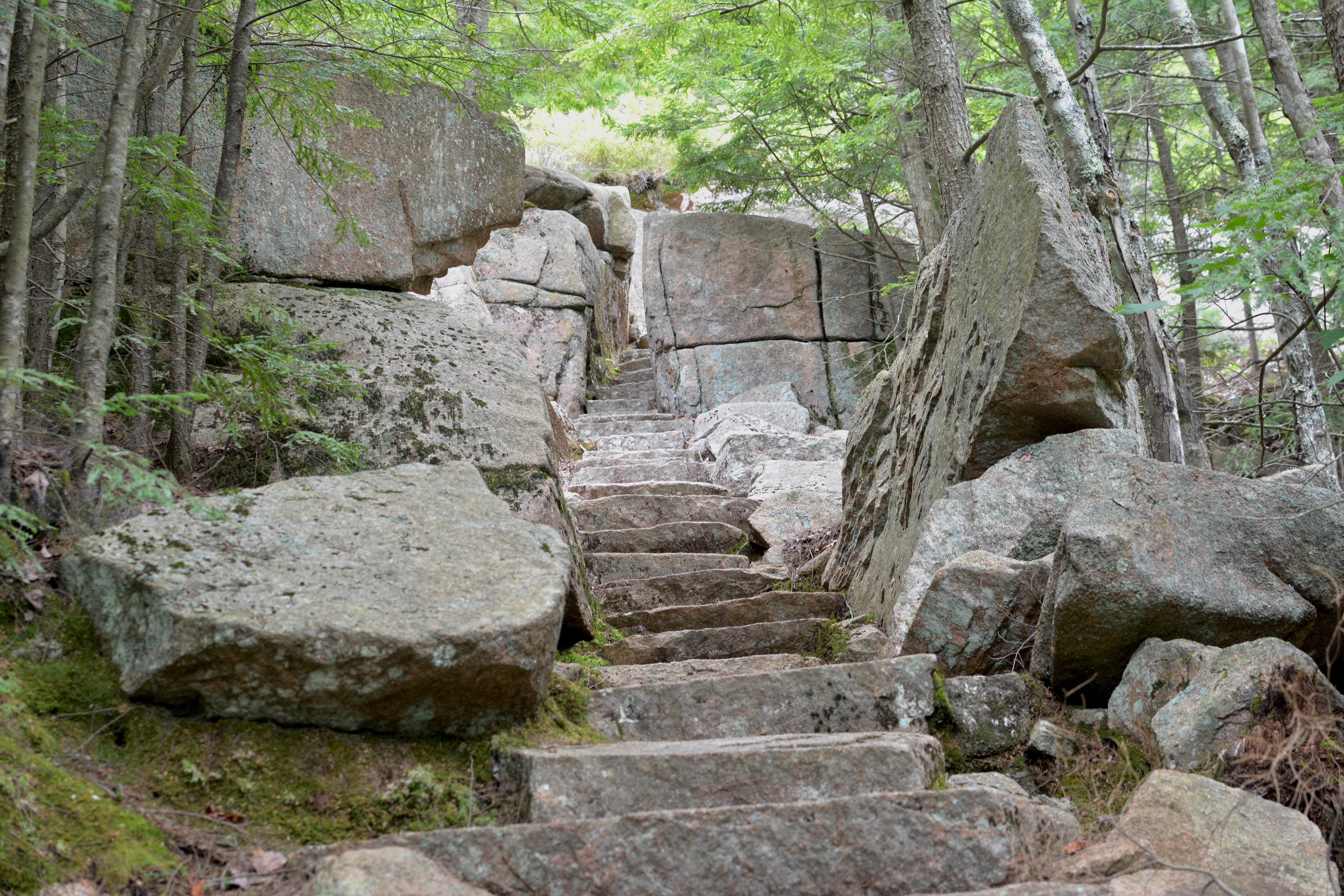 Steps and a passage cut through granite in a forest