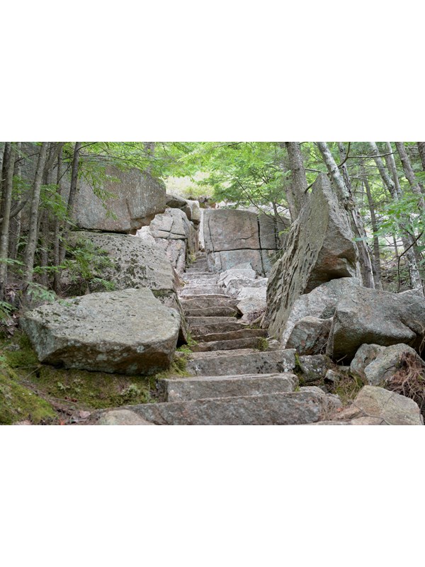 Steps and a passage cut through granite in a forest