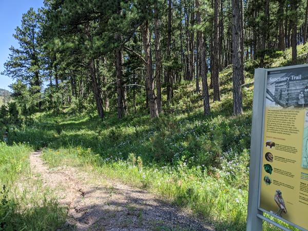 The trail leads away from the trailhead sign along the edge of a ponderosa forest.
