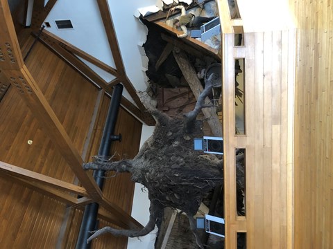 Flood debris
