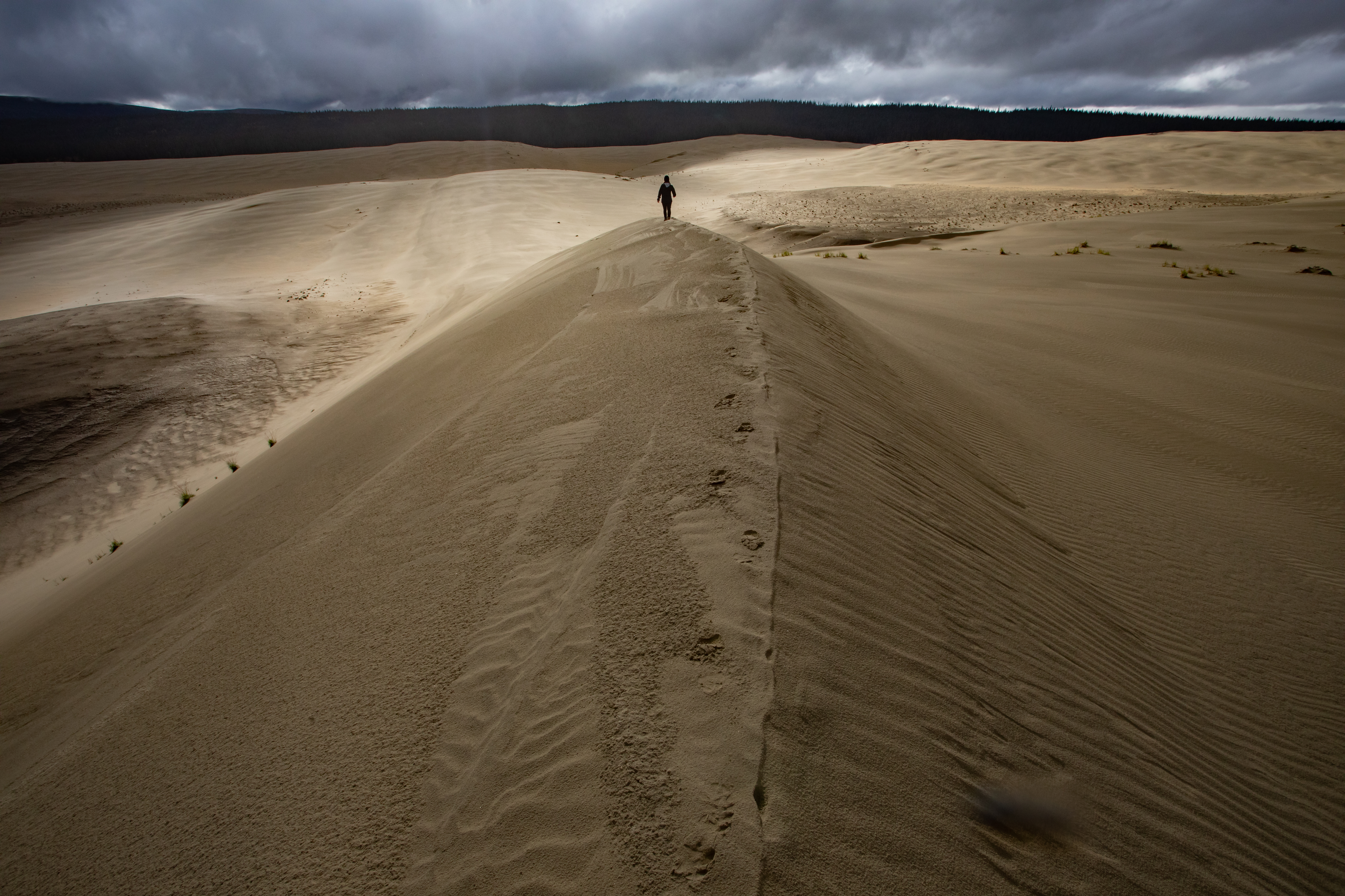 Hiker walking along a sand dune ridge.