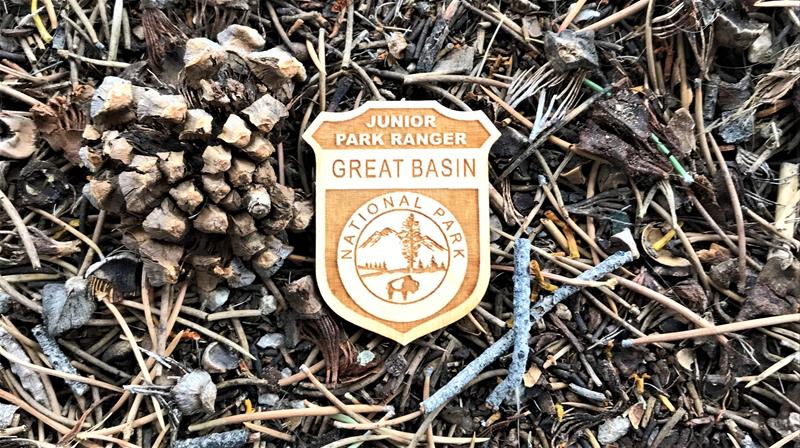 Become a Great Basin National Park Junior Ranger