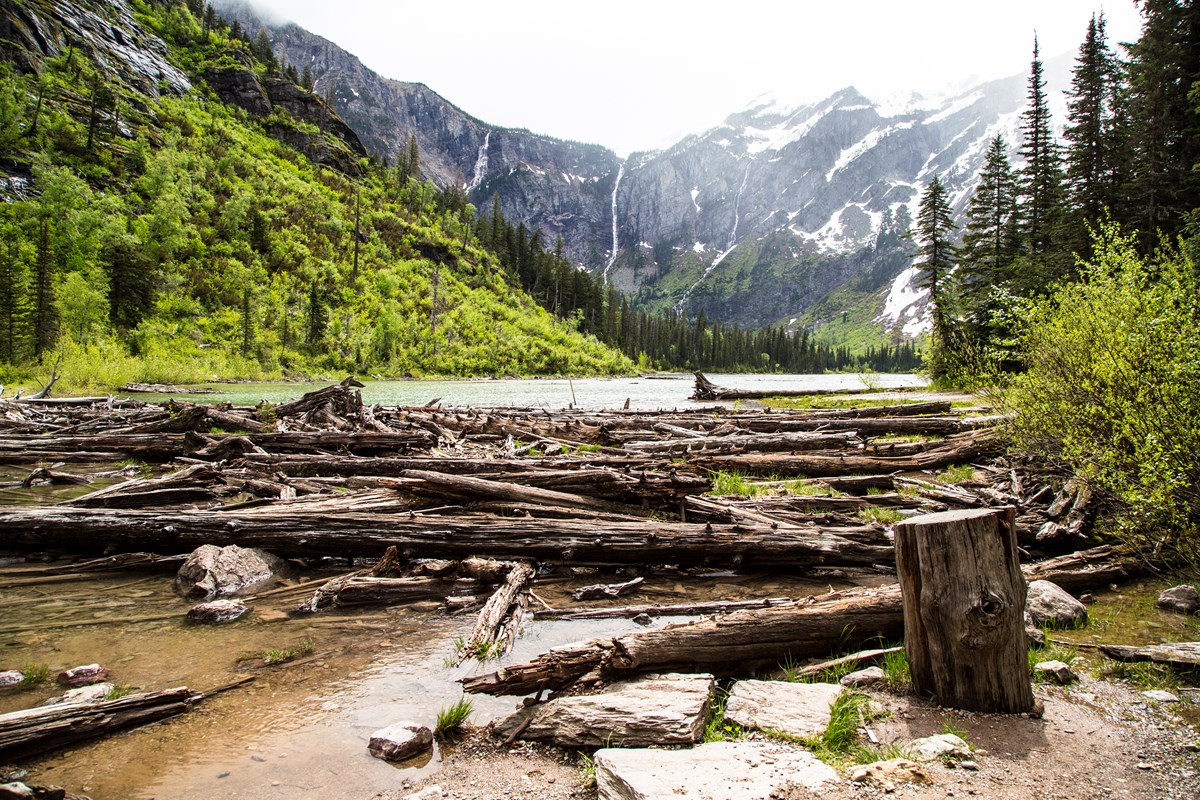 Logs, with snowy mountains and a lake in the background.