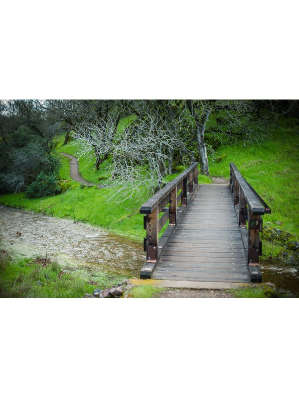 Wooden bridge crossing over a creek to a dirt trail winding around a green hillside