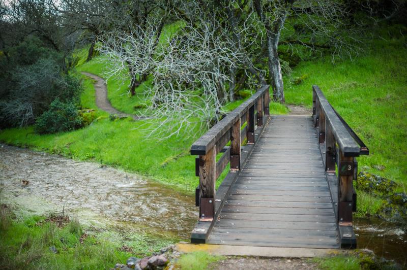 Hike Bench Trail to Sycamore Trail