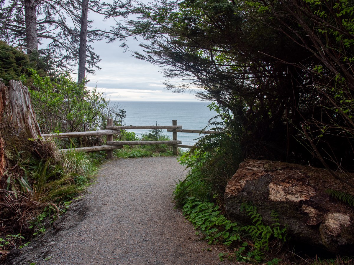 A path leads toward a fenced overlook where the ocean is visible beyond.