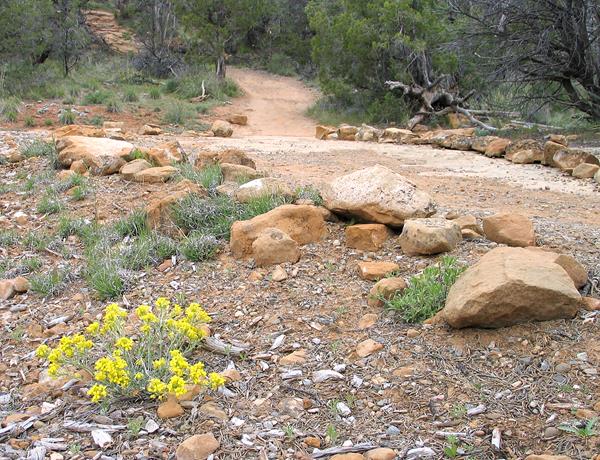 Dirt trail traverses along boulders and yellow rabbitbrush