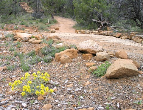Dirt trail running along boulders and yellow rabbitbrush