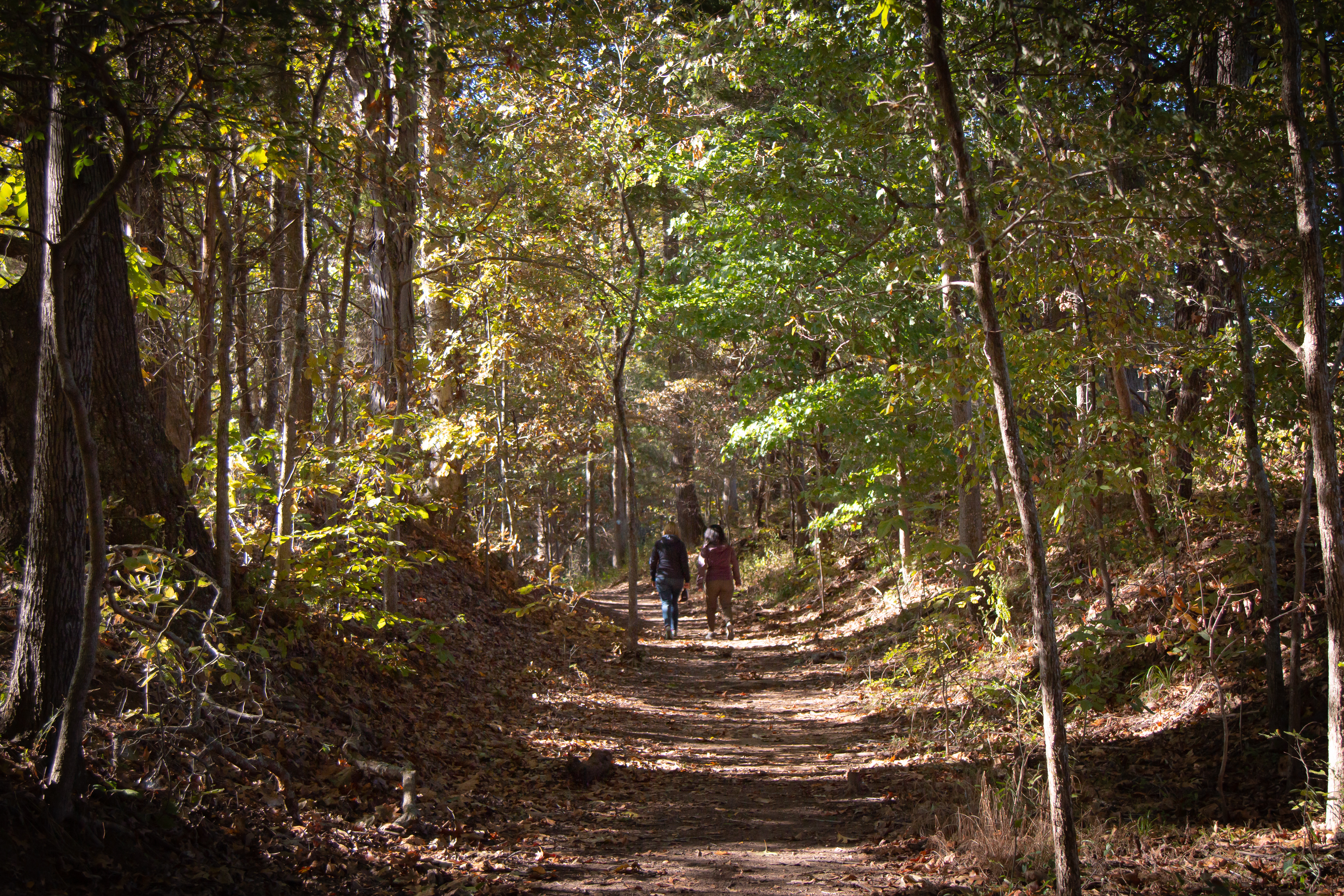 Hike on the Trail of Tears