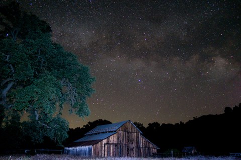 Large valley oak and rustic barn under a clear dark night sky