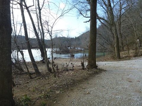 grey gravel drive to water with numerous trees