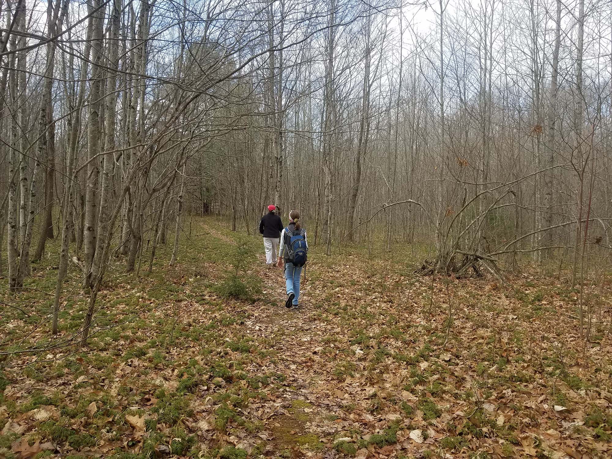 Polls Plateau Trail
