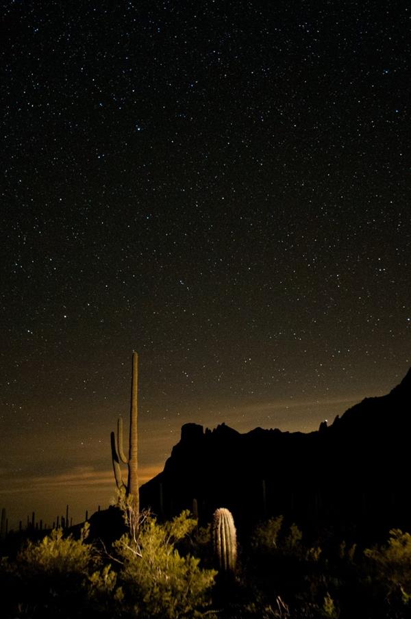 Night photo of desert, with saguaro in the foreground and mountains in the background.