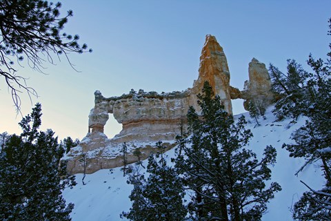 A pale red rock formation covered in snow surrounded by green trees