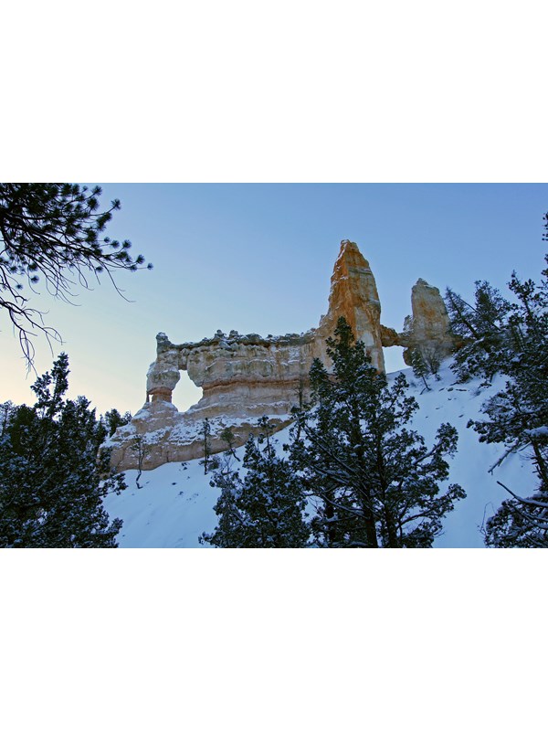 A pale red rock formation covered in snow surrounded by green trees
