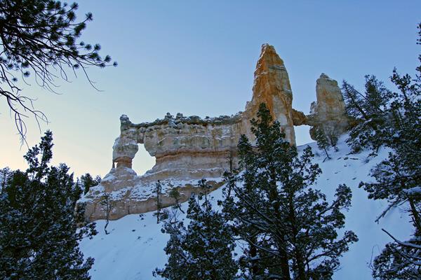 A pale red rock formation covered in snow surrounded by green trees
