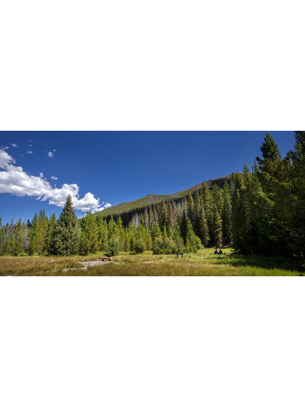 two people sitting in a grassy meadow