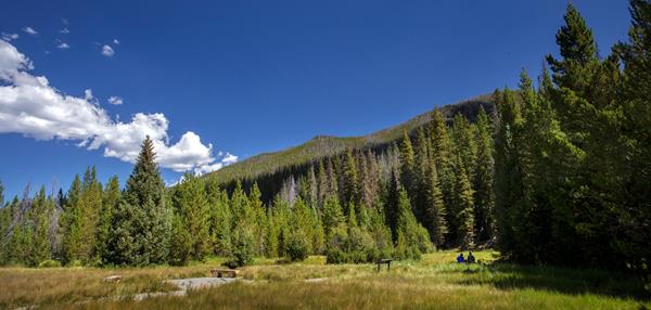 two people sitting in a grassy meadow