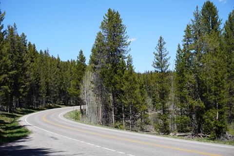 Highway curves through forest.
