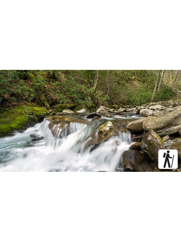 A small cascading waterfall on rocks in a stream.