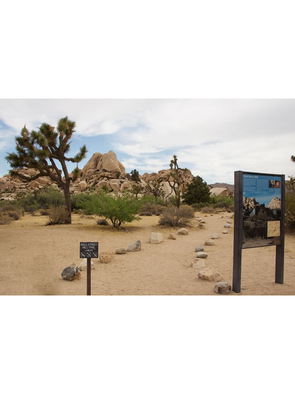 A dirt path heading past a sign, Joshua trees, small trees, and shrubs towards large rock formations