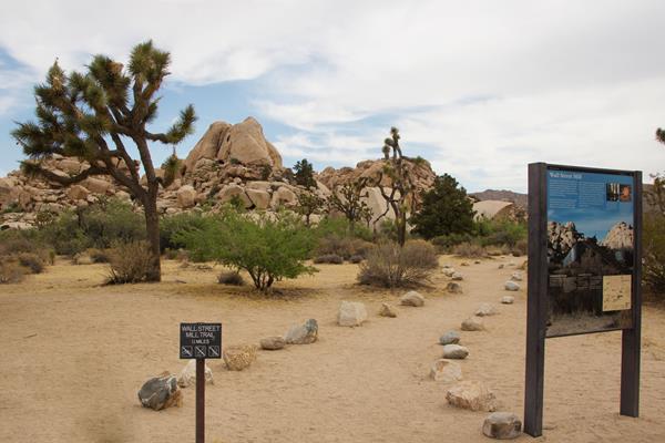A dirt path heading past a sign, Joshua trees, small trees, and shrubs towards large rock formations