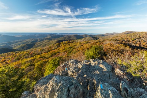 A rock cliff overlooking a valley below bathed in yellow fall colors.