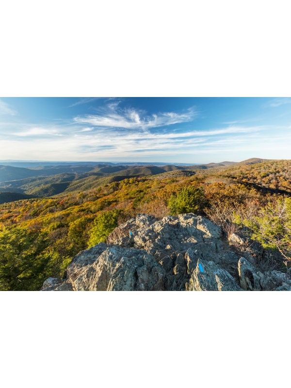A rock cliff overlooking a valley below bathed in yellow fall colors.