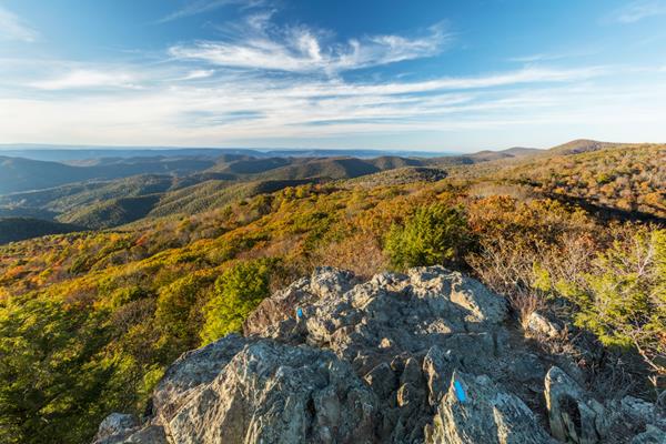 A rock cliff overlooking a valley below bathed in yellow fall colors.