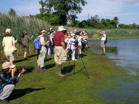Group of birders at the Jamaica Bay Wildlife Refuge on shore of the East Pond