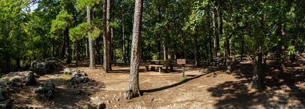 A picnic area with many tables sit beneath the shade of the trees.