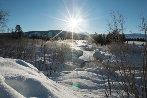 Sunlit blue sky with a meandering creek running through a snow and ice covered marsh.