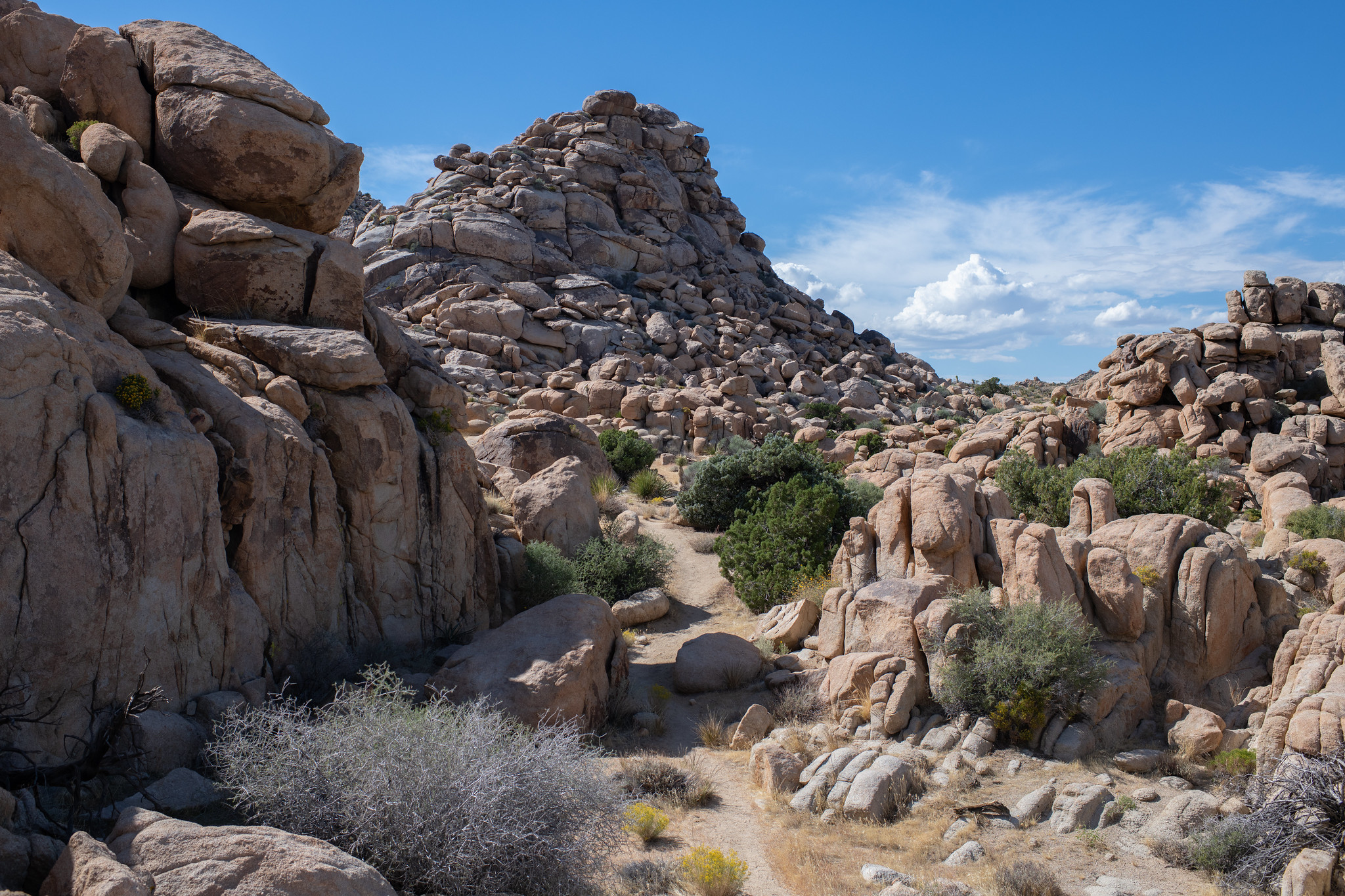 Maze Loop Trailhead