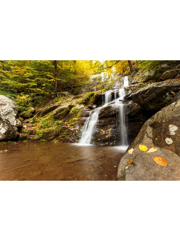 A waterfall cascades under trees with the yellow leaves of fall.