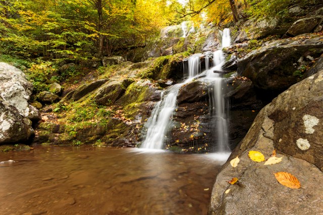 A waterfall cascades under trees with the yellow leaves of fall.