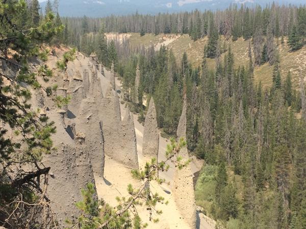 Spires of hardened volcanic matter are exposed via erosion along a canyon wall