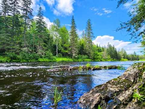 The Seboeis River flows between a lush forested area. It is a bright sunny day with blue skies.