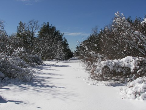 A snowy day at Floyd Bennett Field